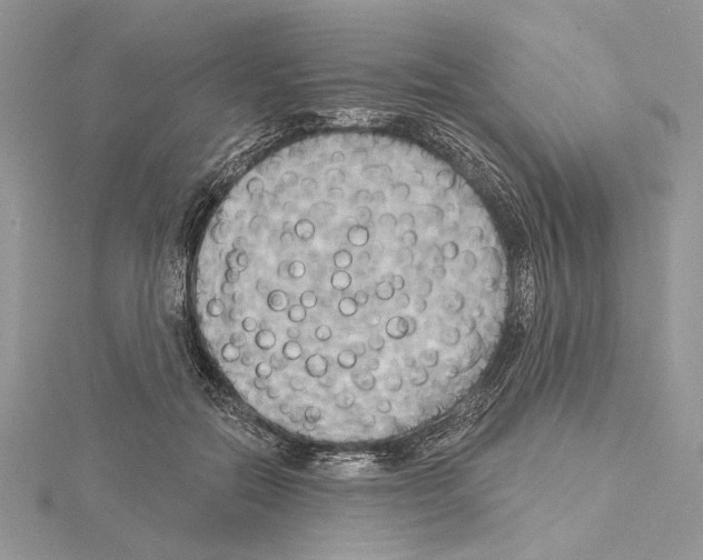 X0000114670554200912021056