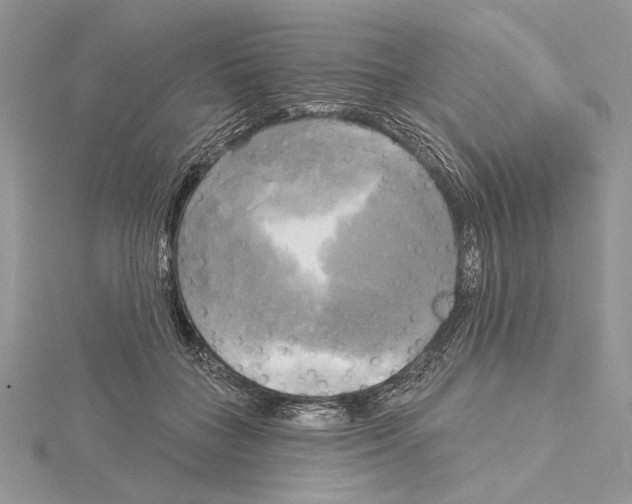 X0000114670555200912021056