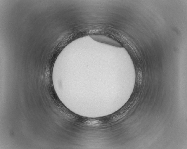 X0000114670557200912021056