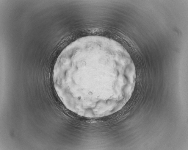 X0000114670558200912021056