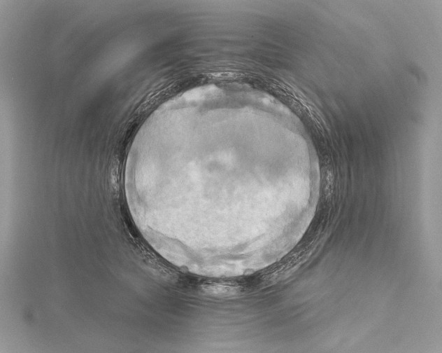 X0000114670561200912021056