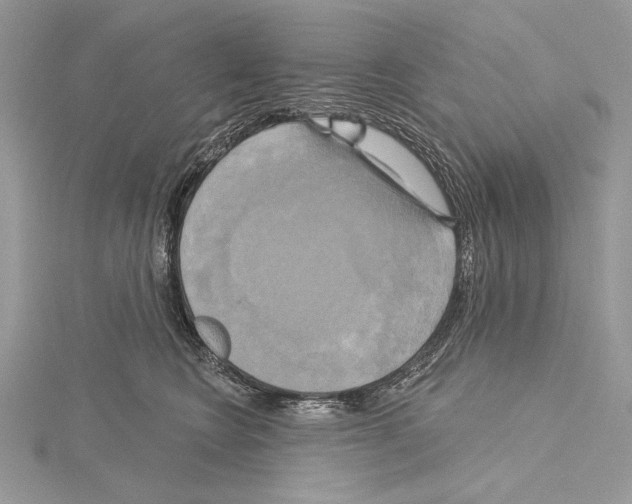 X0000114670566200912021056