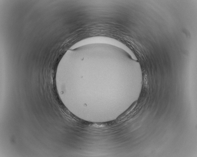 X0000114670570200912021056