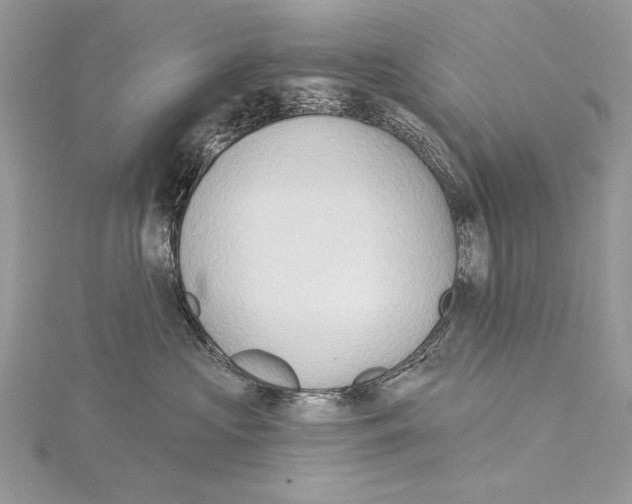 X0000114670573200912021056