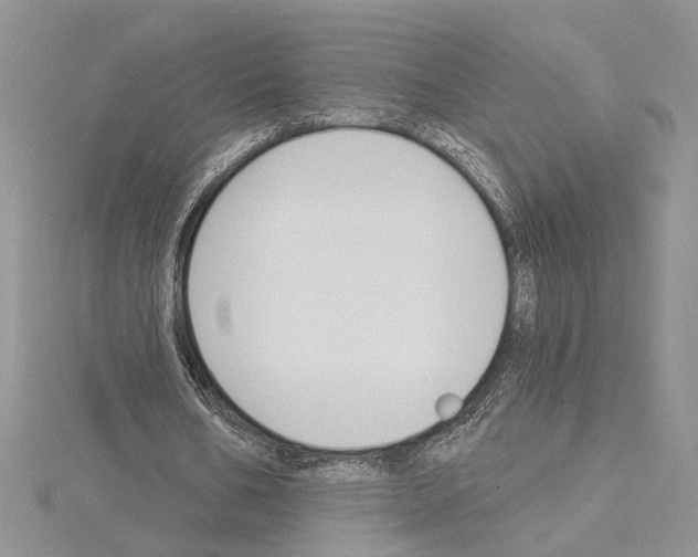 X0000114670578200912021055