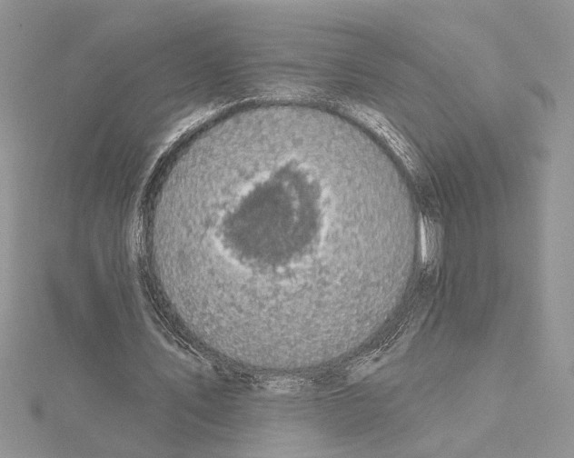 X0000114670579200912021055