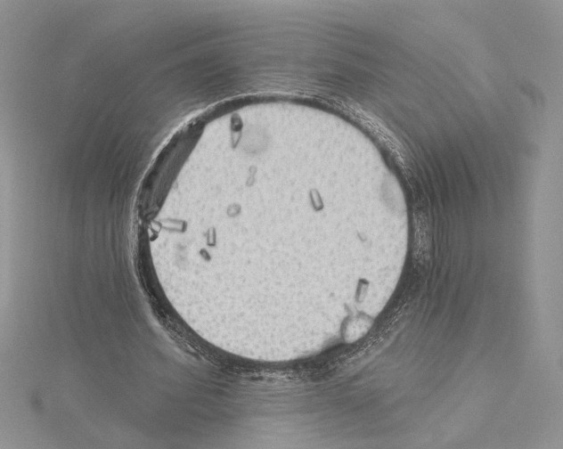 X0000114670580200912021055