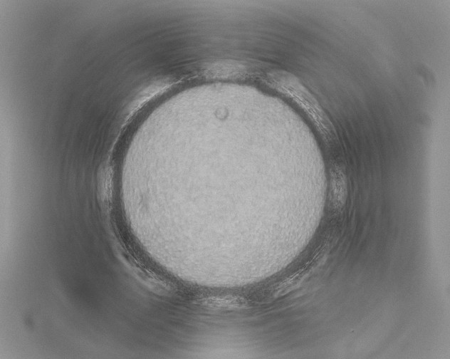 X0000114670583200912021055