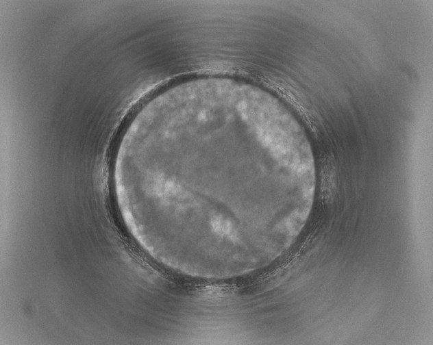 X0000114670584200912021055