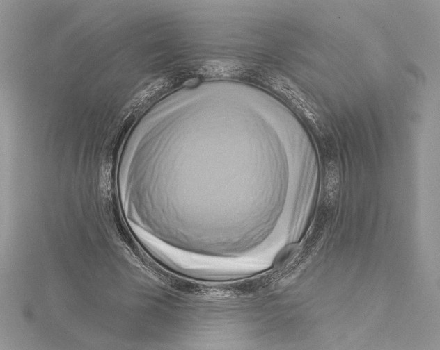 X0000114670585200912021055