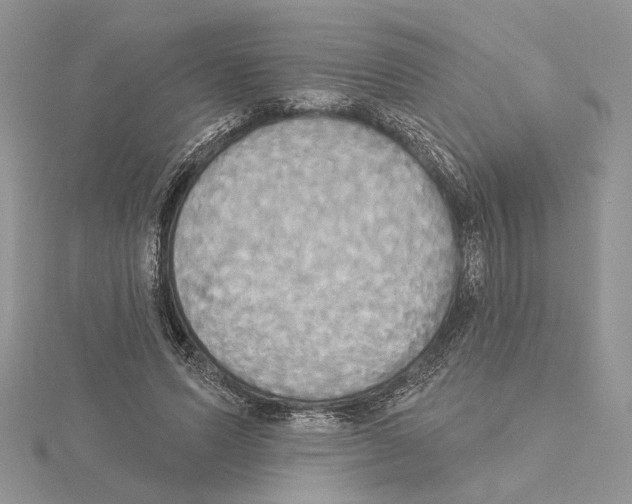 X0000114670591200912021055