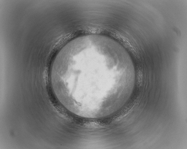 X0000114670594200912021055