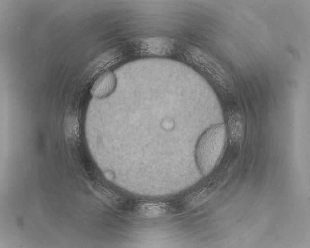 X0000114670595200912021055