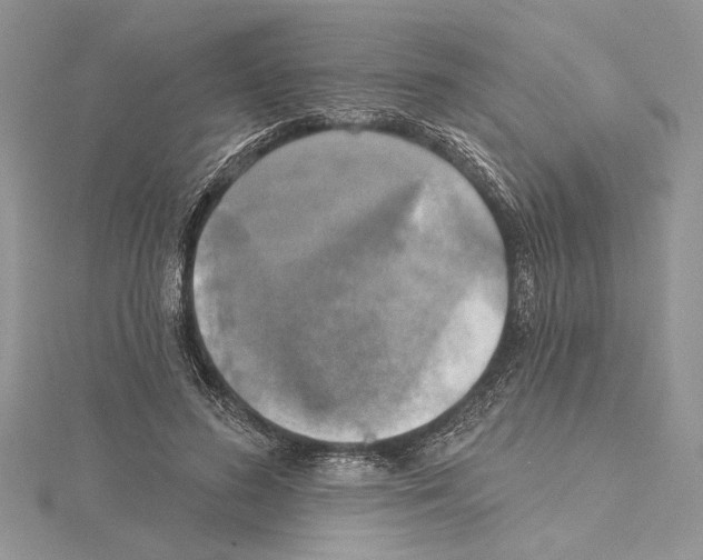 X0000114670596200912021055