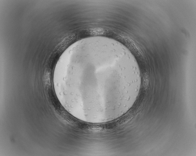 X0000114670598200912021055