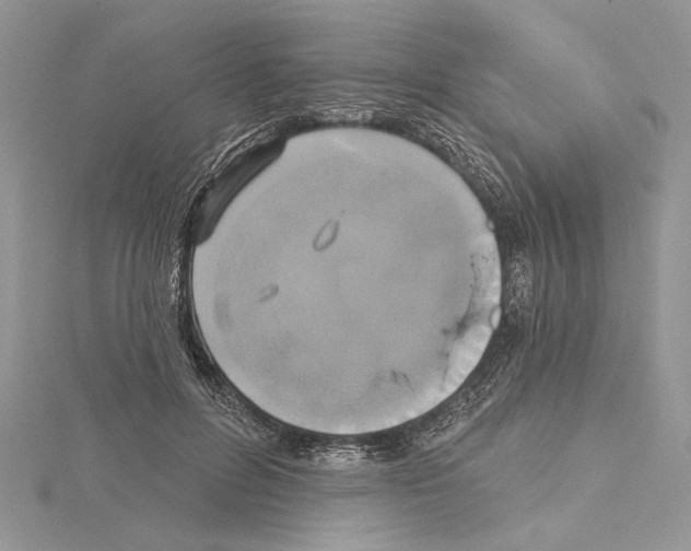 X0000114670600200912021055