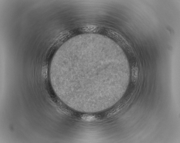 X0000114670602200912021055