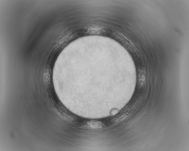 X0000114670603200912021055