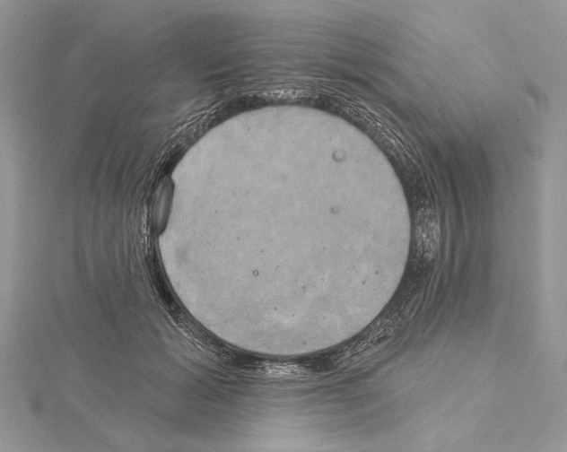 X0000114670605200912021055