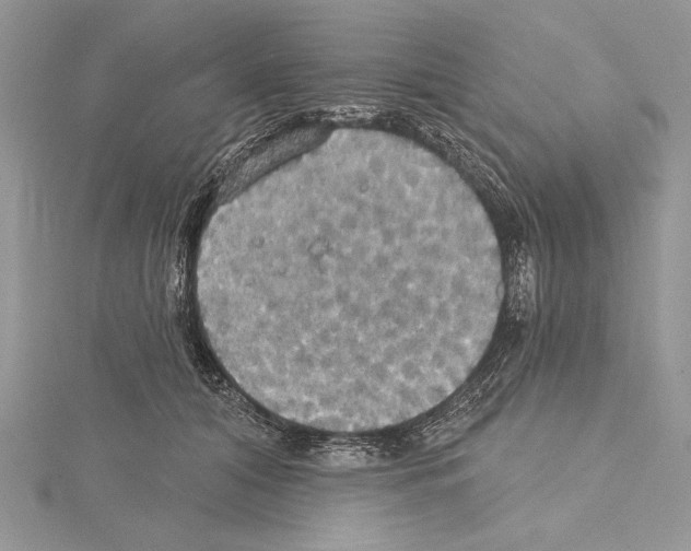 X0000114670608200912021055