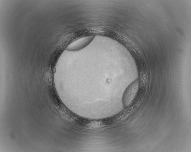 X0000114670609200912021055