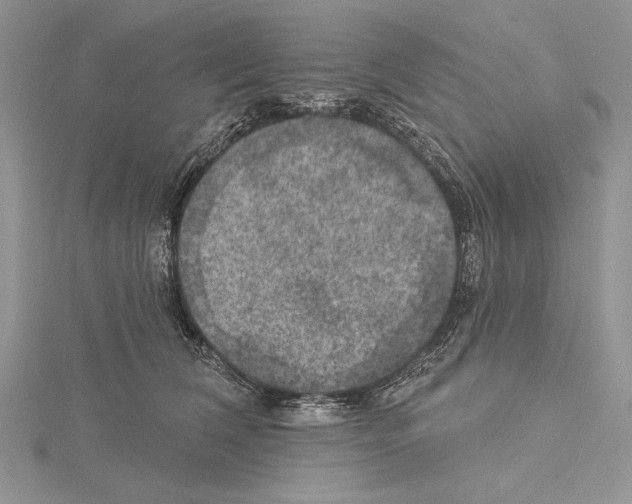 X0000114670612200912021055