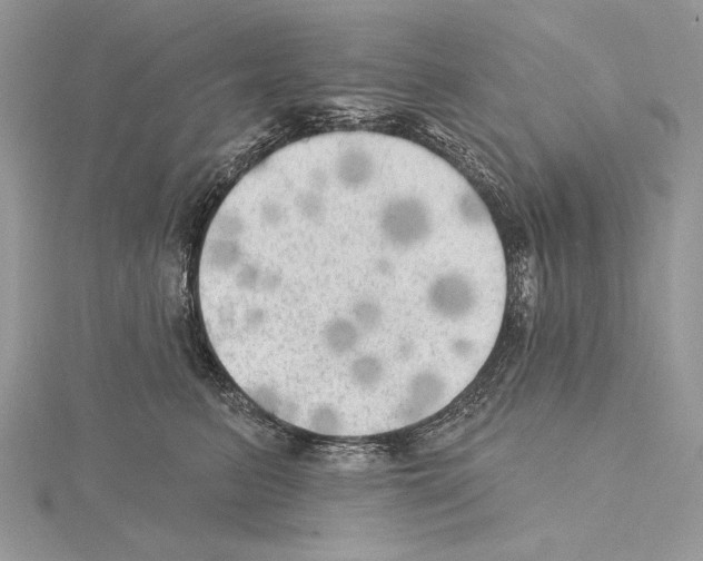 X0000114670615200912021055