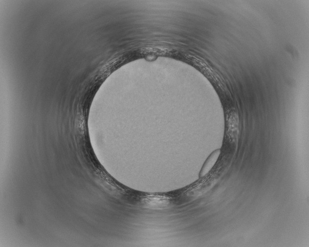 X0000114670617200912021055