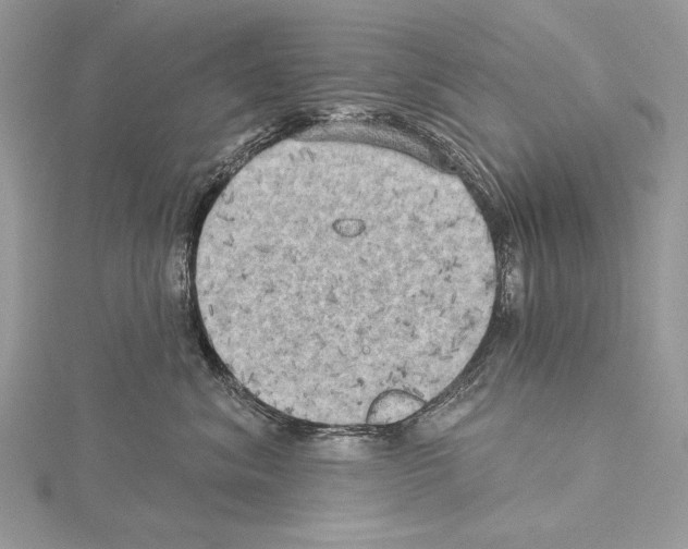 X0000114670620200912021055