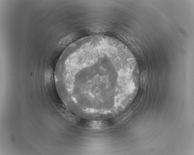 X0000114670623200912021055