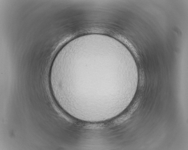 X0000114670625200912021054