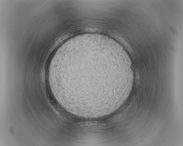 X0000114670626200912021054