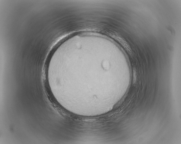 X0000114670628200912021054