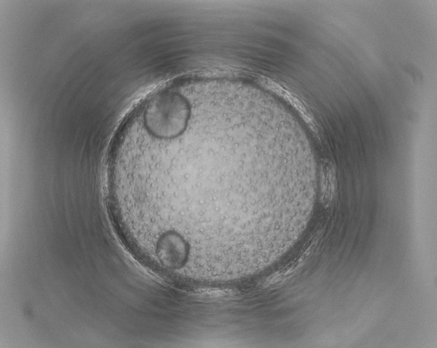 X0000114670629200912021054