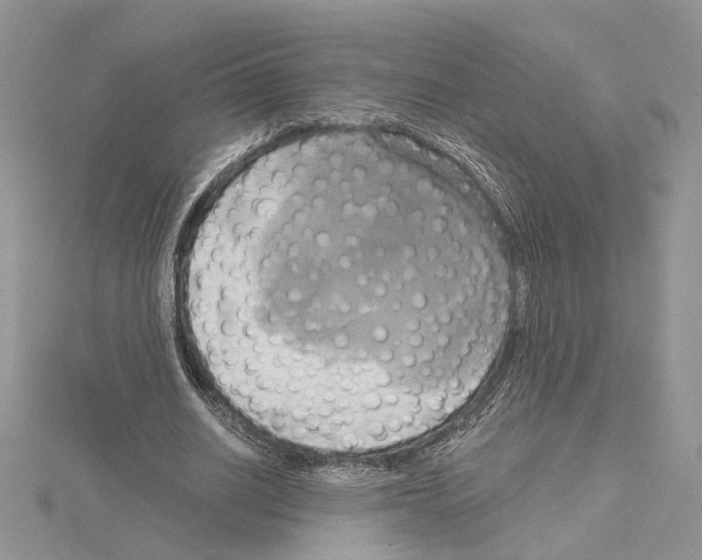 X0000114670630200912021054