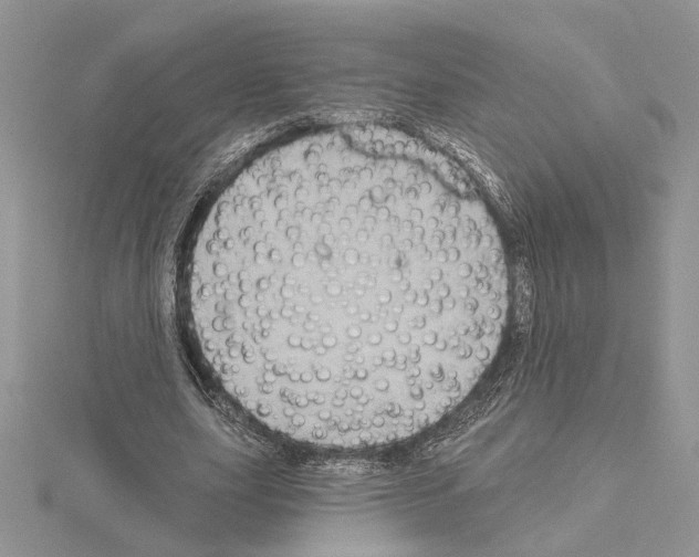 X0000114670631200912021054