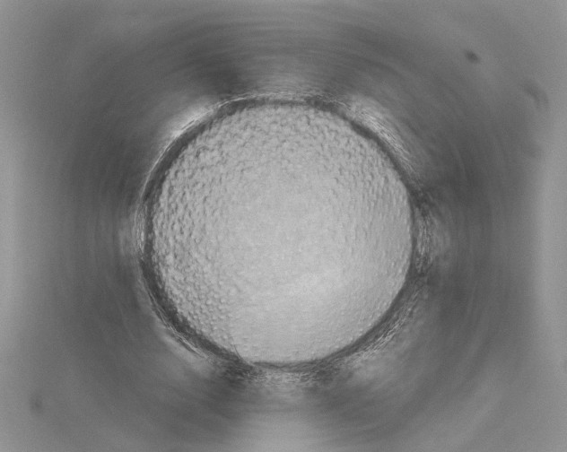 X0000114670632200912021054