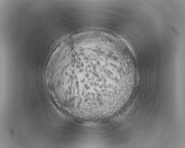 X0000114670633200912021054