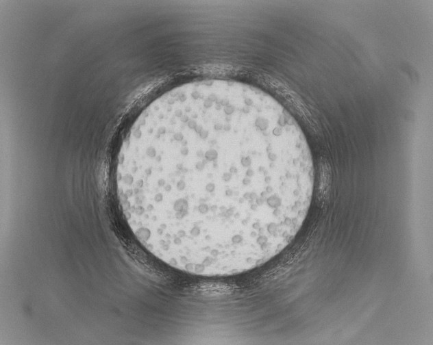 X0000114670636200912021054