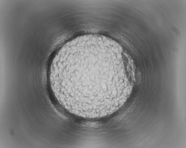 X0000114670638200912021054