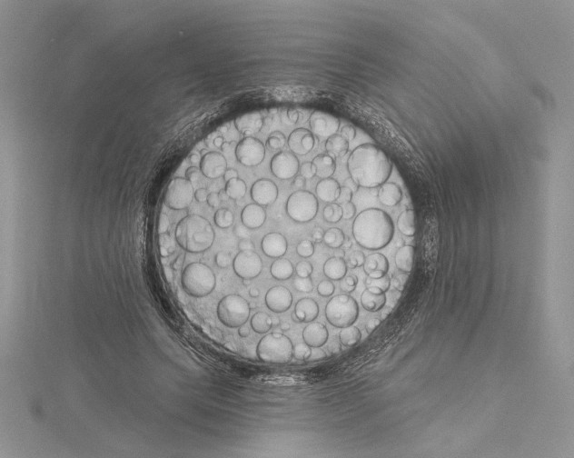 X0000114670639200912021054