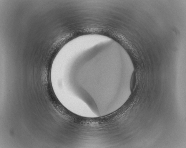 X0000114670640200912021054