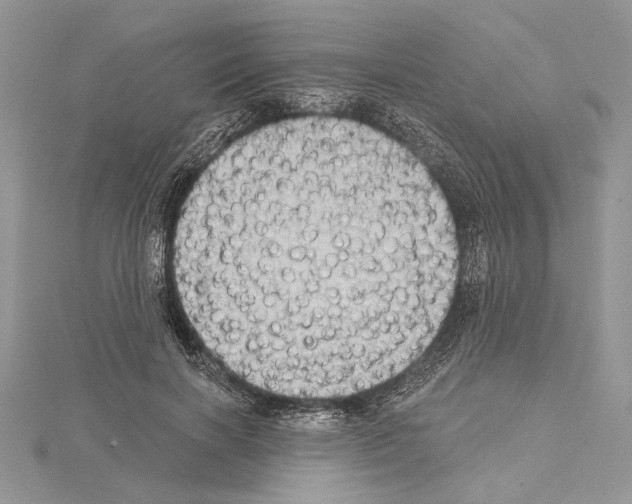 X0000114670646200912021054