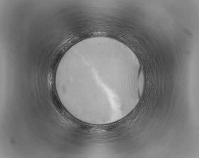 X0000114670648200912021055