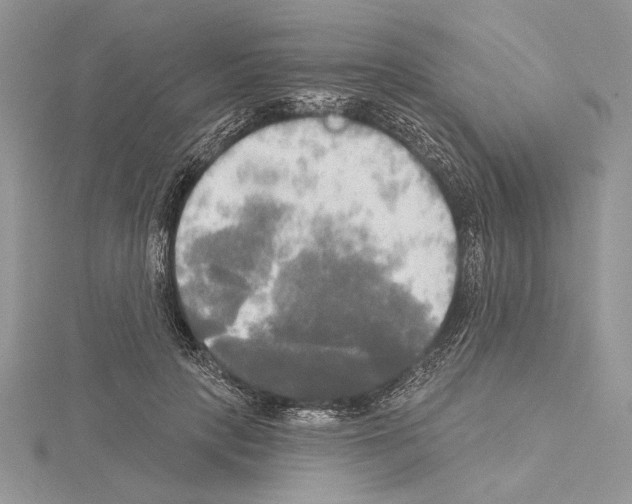 X0000114670649200912021055