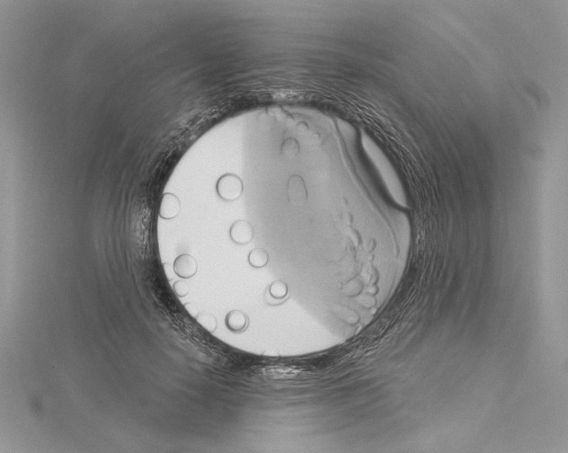 X0000114670650200912021055