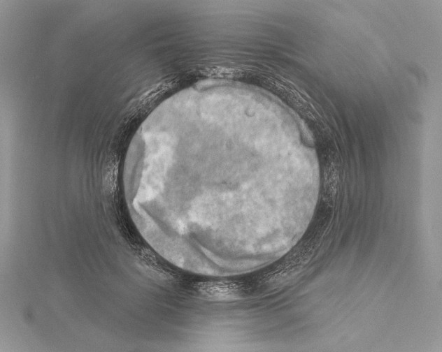 X0000114670652200912021055