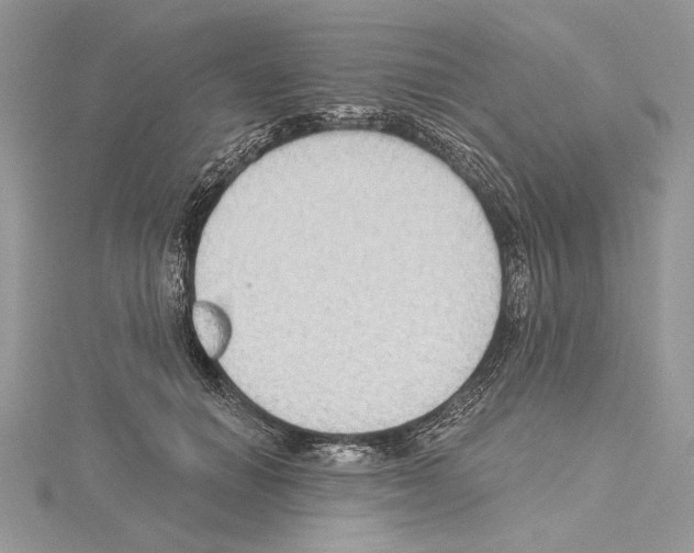 X0000114670654200912021055