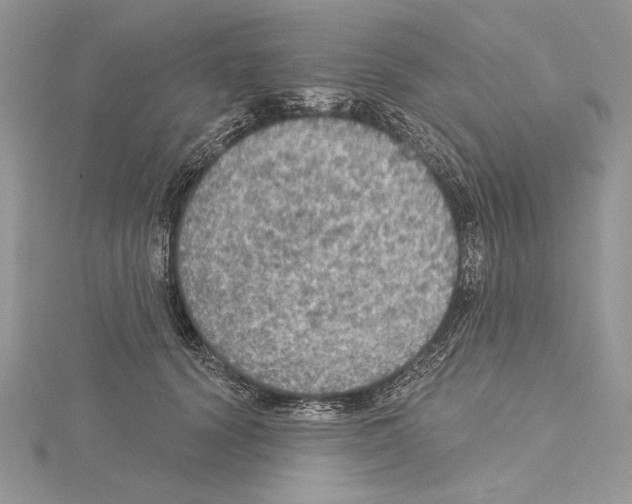 X0000114670656200912021055