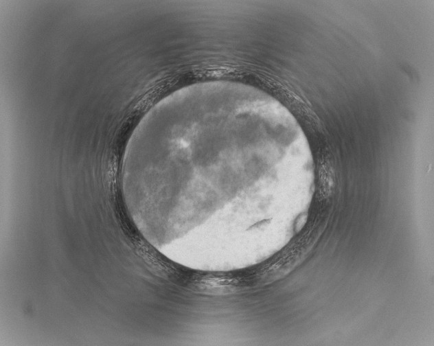 X0000114670657200912021055